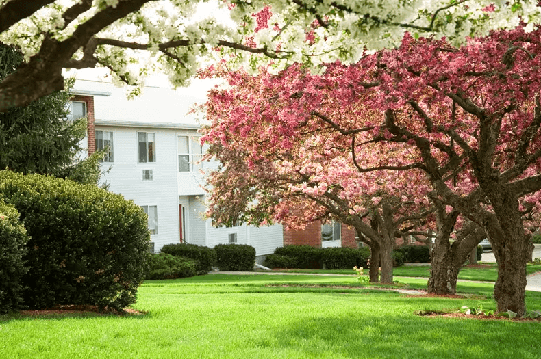 5 Cheapest Neighborhoods in Boston, MA